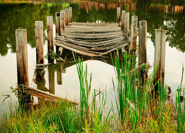 Mobile Medical Clinics