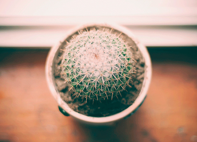 CSR Infrastructure Projects